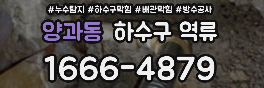 양과동 하수구 역류