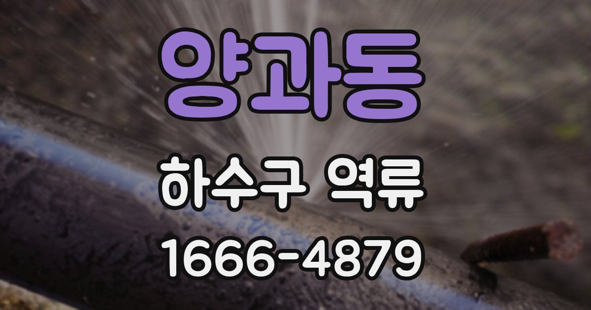 양과동 하수구 역류