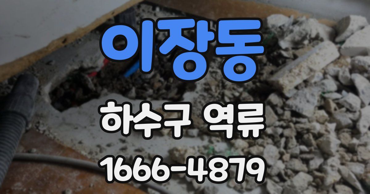 이장동 하수구 역류