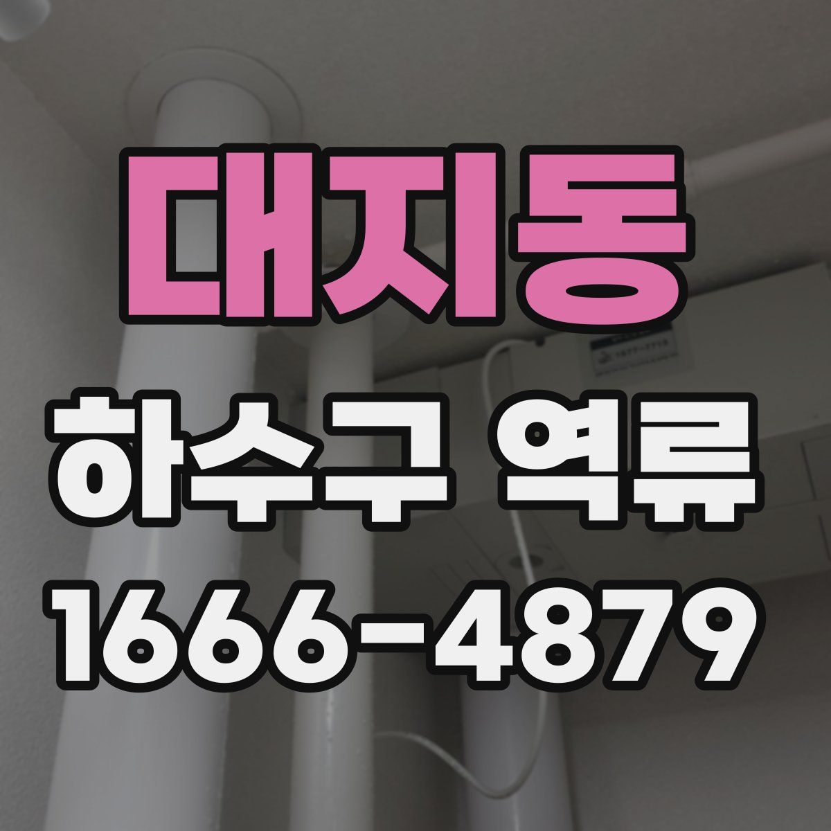 대지동 하수구 역류
