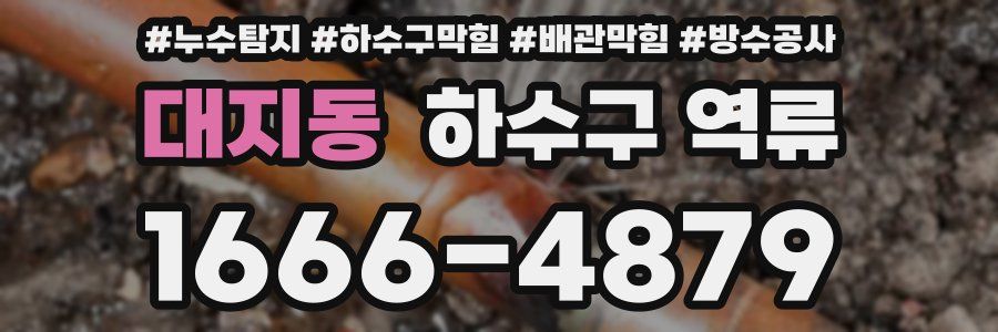 대지동 하수구 역류