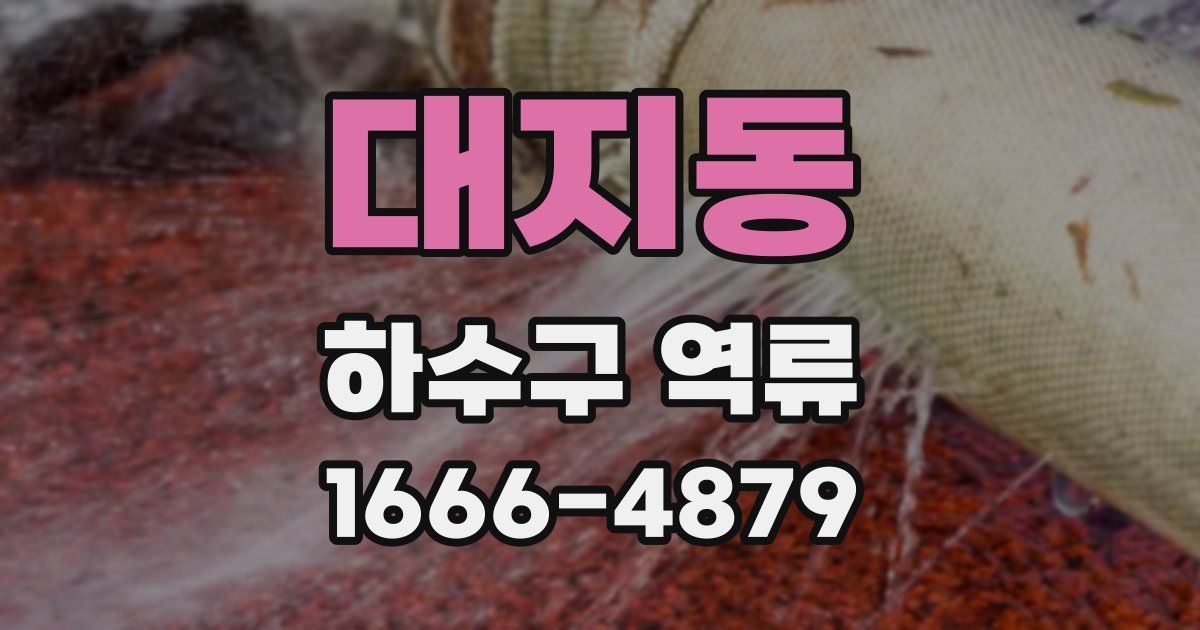 대지동 하수구 역류