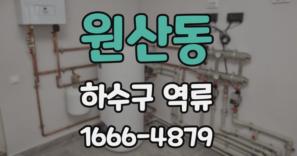 원산동 하수구 역류