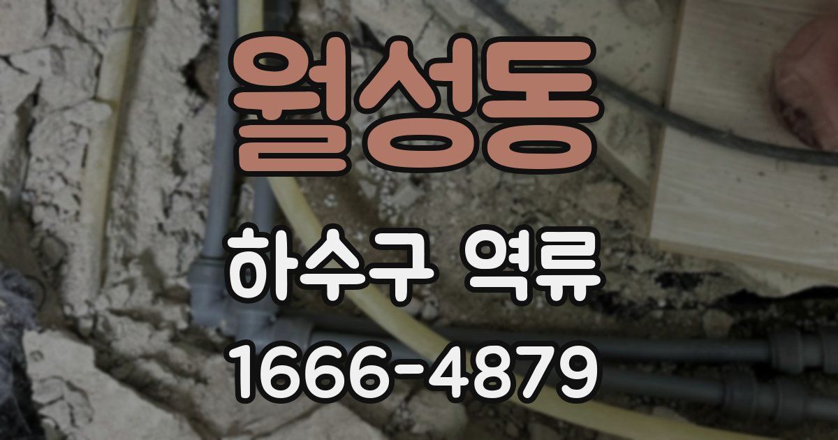 월성동 하수구 역류