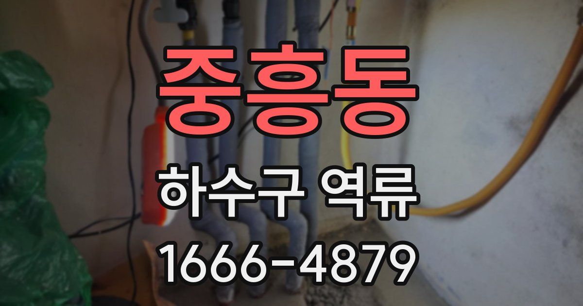 중흥동 하수구 역류