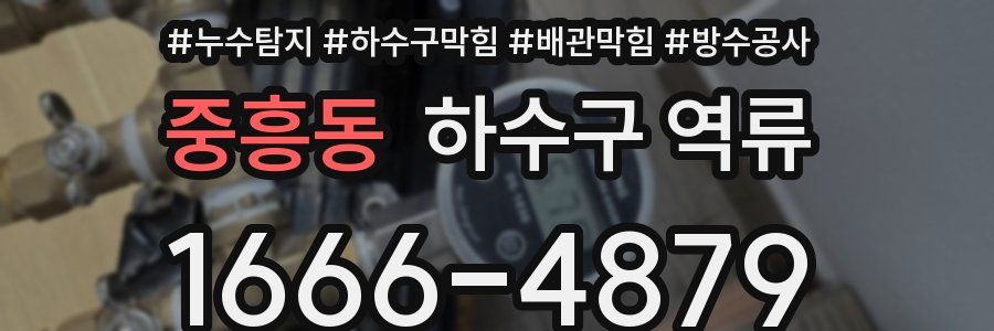 중흥동 하수구 역류