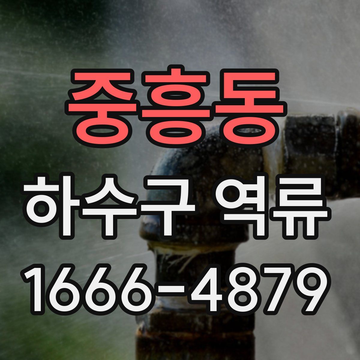 중흥동 하수구 역류