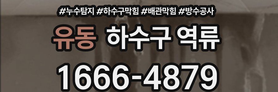 유동 하수구 역류