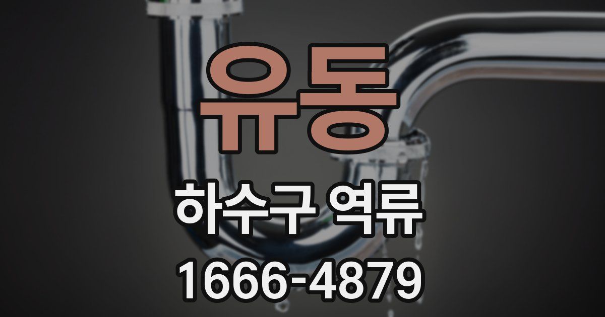 유동 하수구 역류