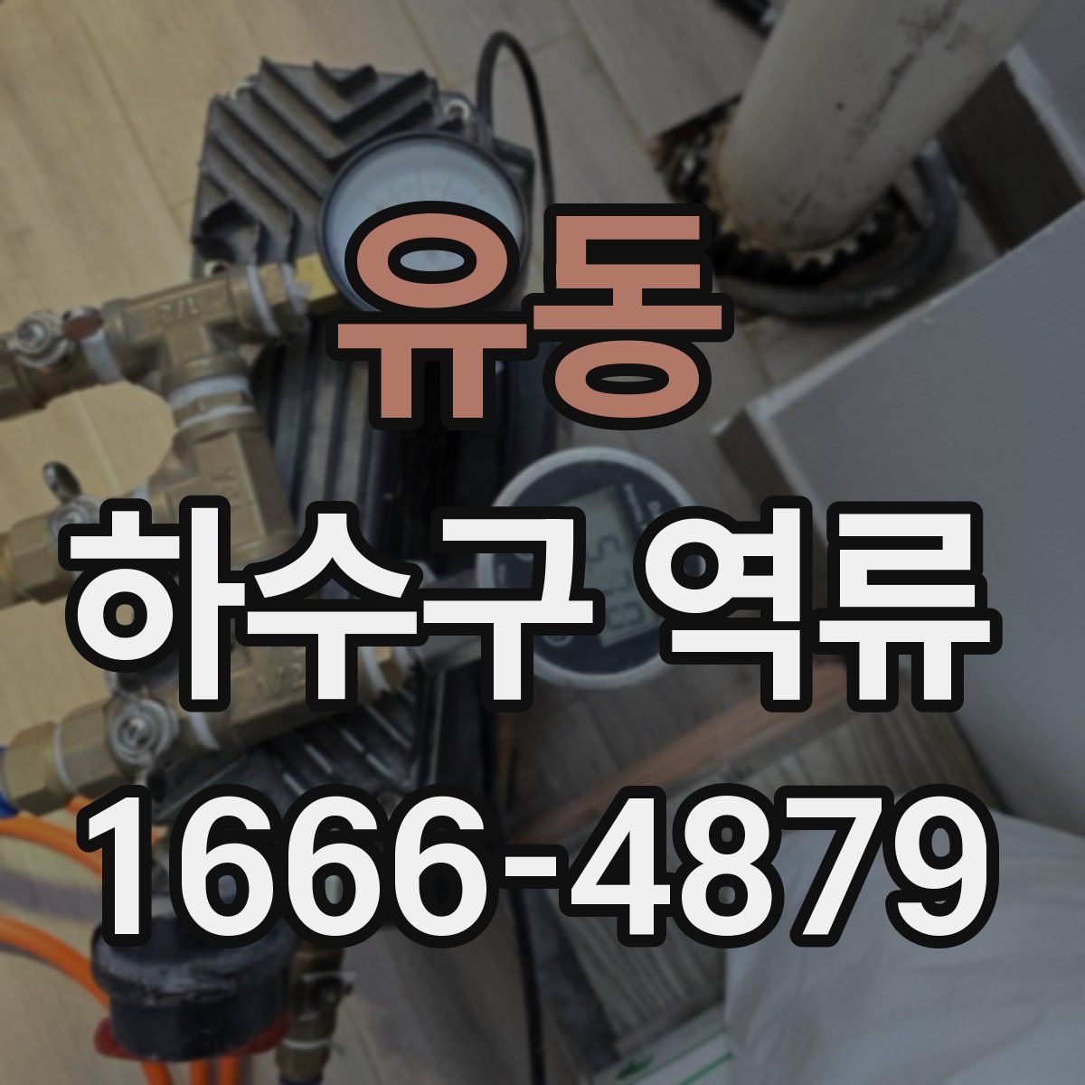 유동 하수구 역류