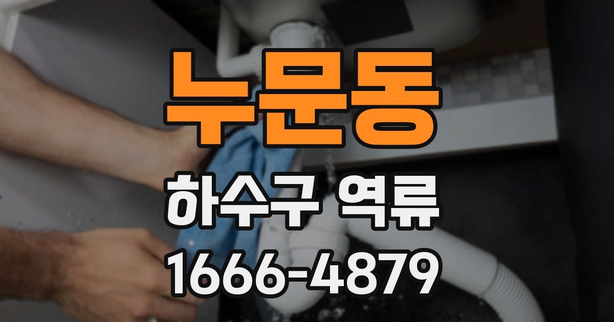 누문동 하수구 역류