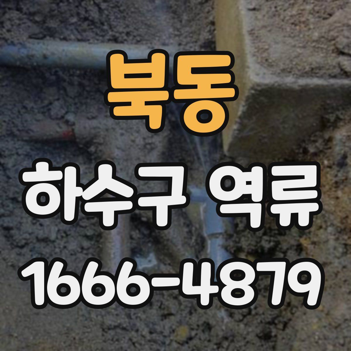 북동 하수구 역류