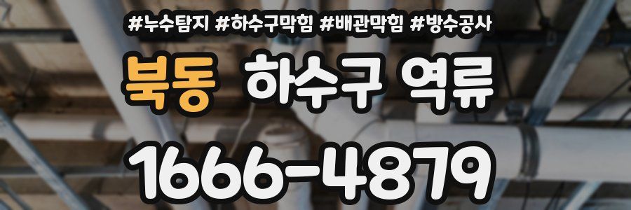 북동 하수구 역류