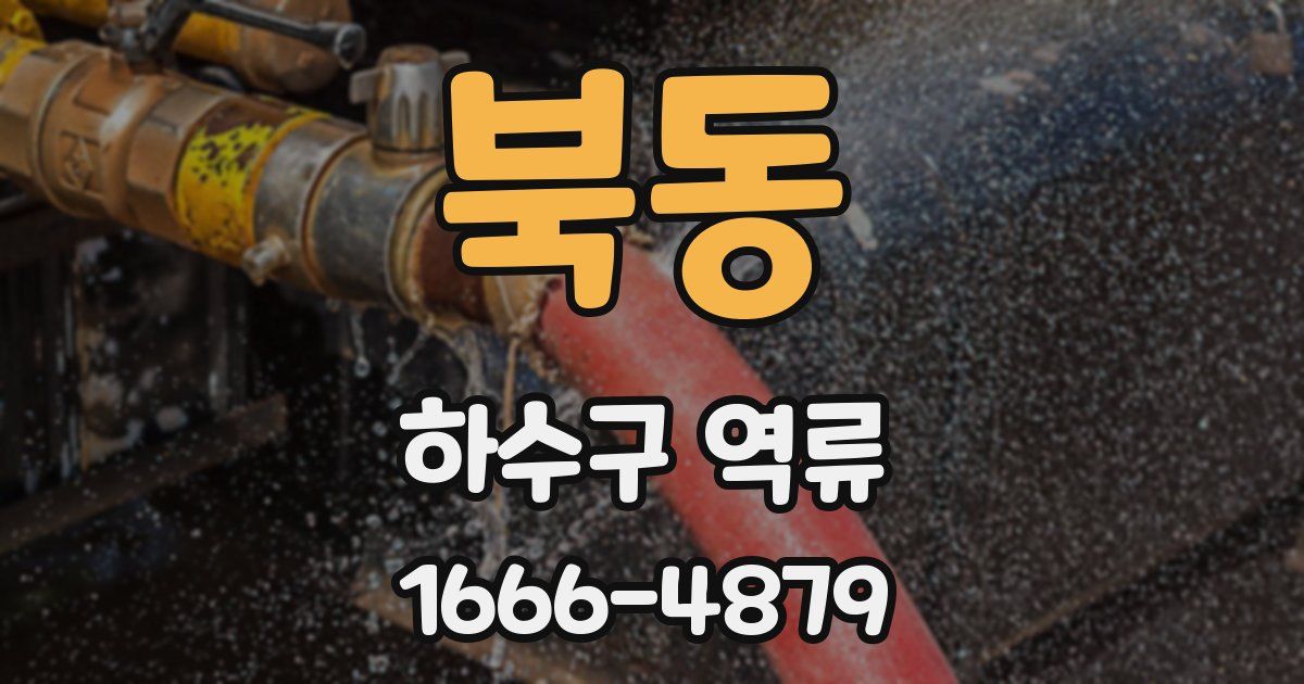 북동 하수구 역류