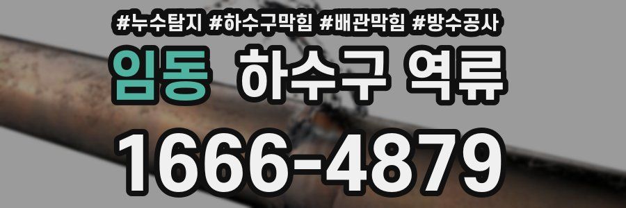 임동 하수구 역류