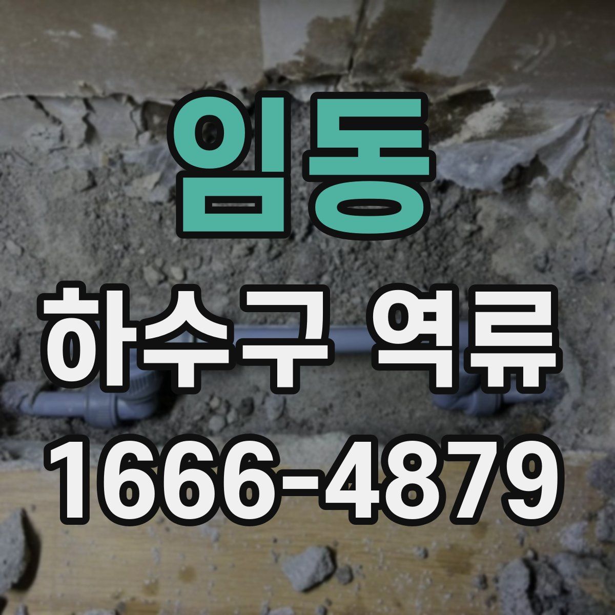 임동 하수구 역류