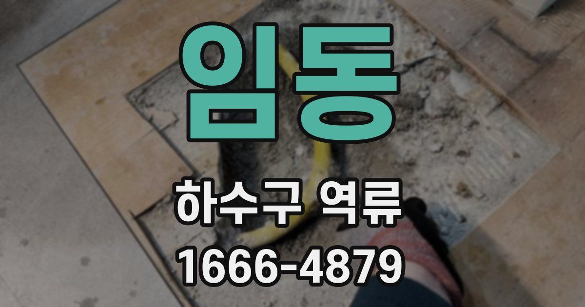 임동 하수구 역류