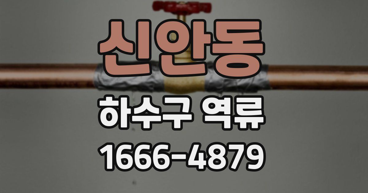 신안동 하수구 역류