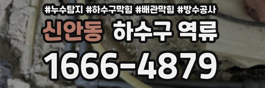 신안동 하수구 역류