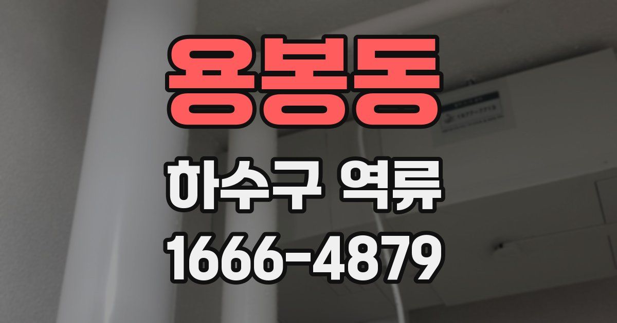 용봉동 하수구 역류