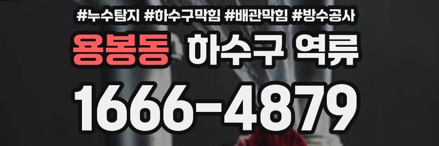 용봉동 하수구 역류