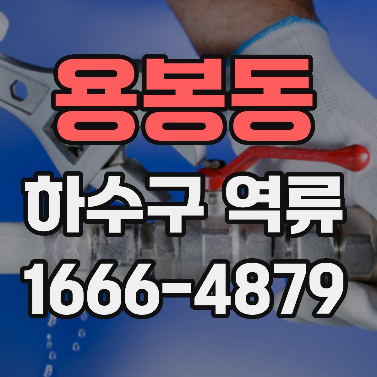 용봉동 하수구 역류