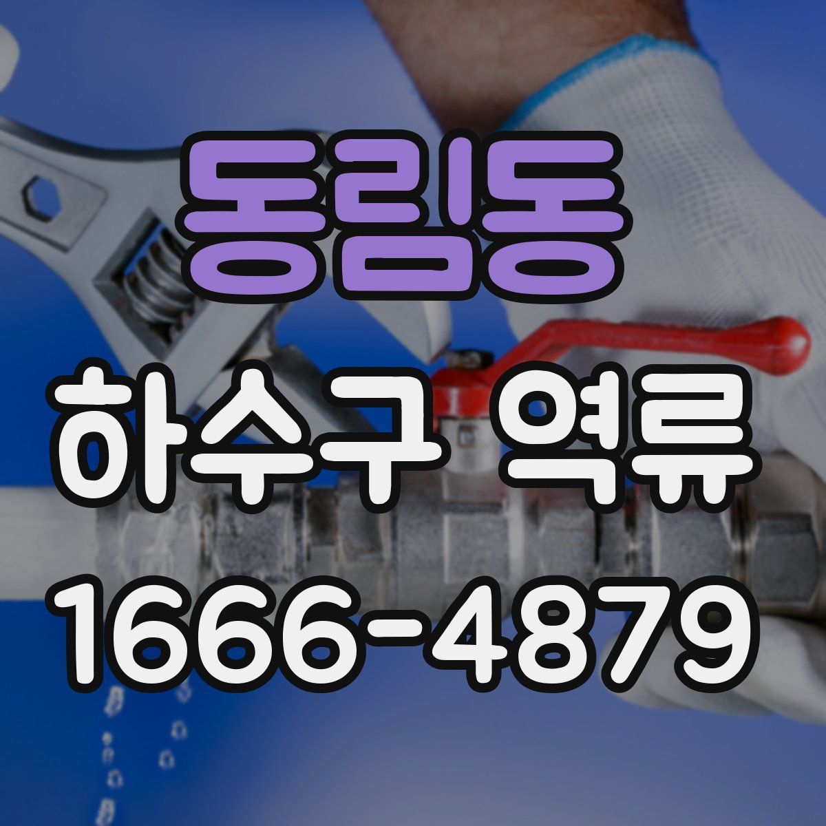 동림동 하수구 역류