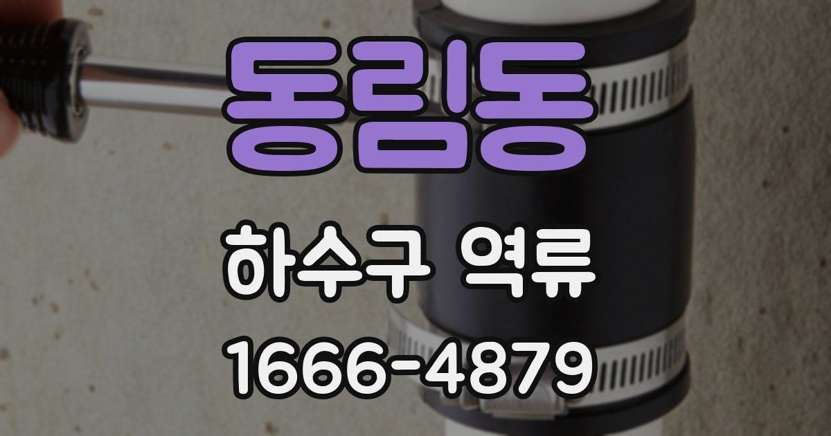 동림동 하수구 역류