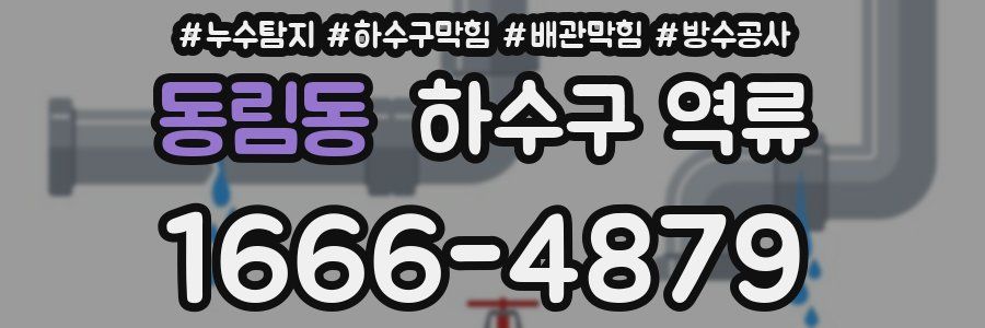 동림동 하수구 역류