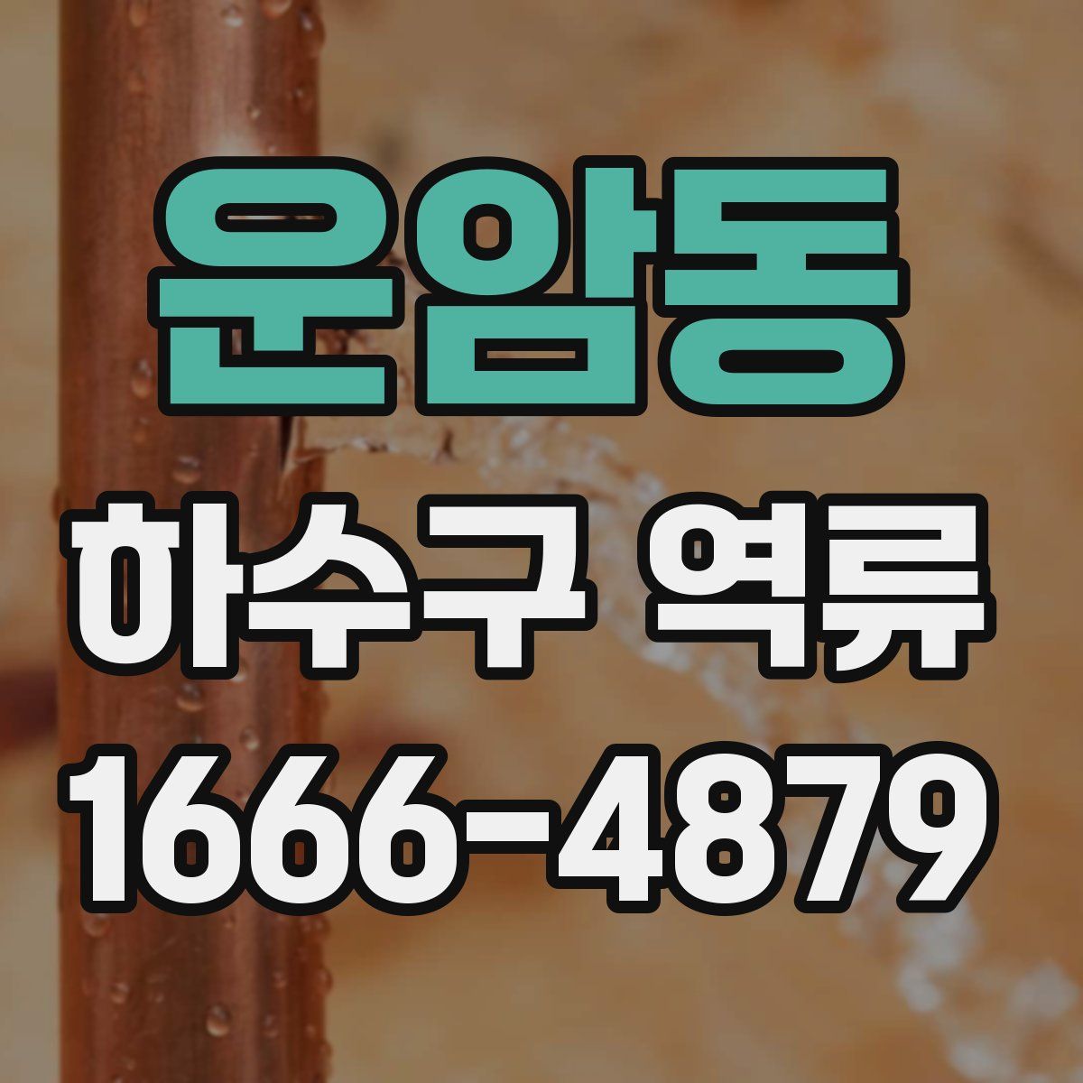 운암동 하수구 역류