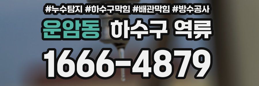 운암동 하수구 역류