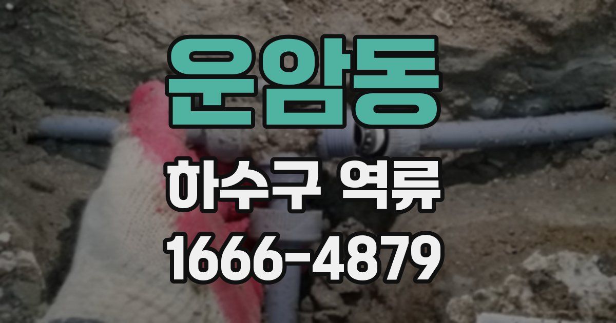 운암동 하수구 역류
