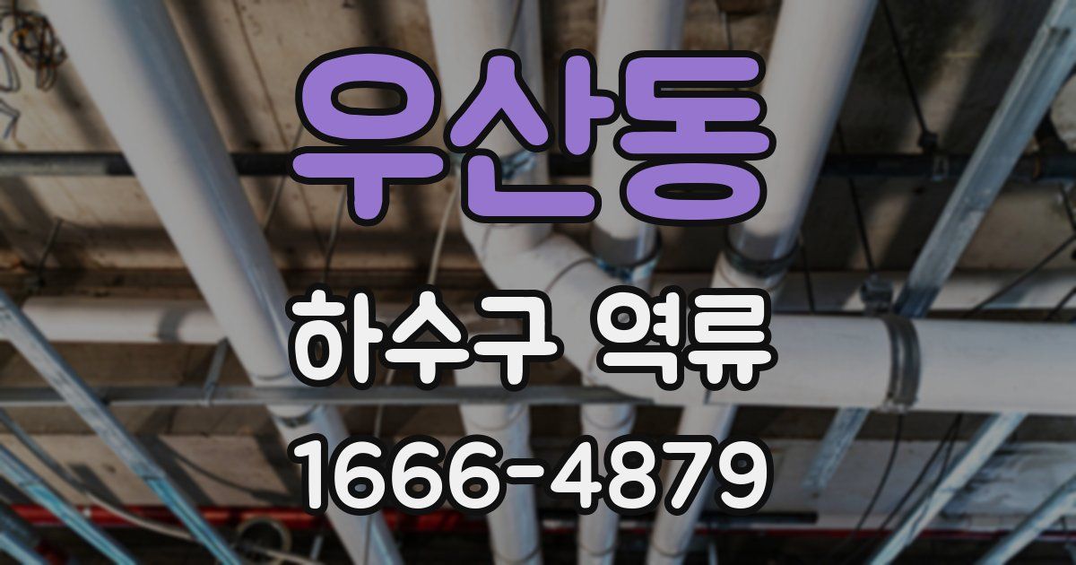 우산동 하수구 역류