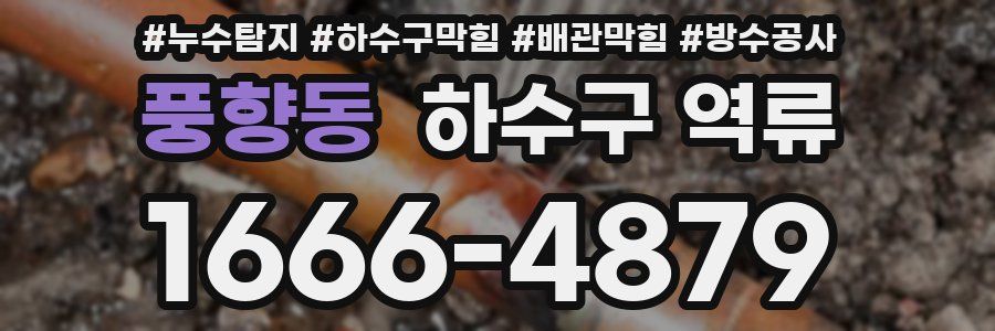 풍향동 하수구 역류
