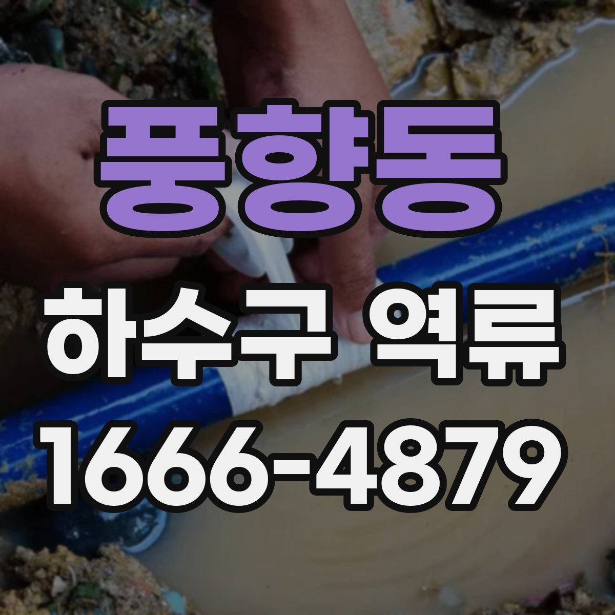 풍향동 하수구 역류