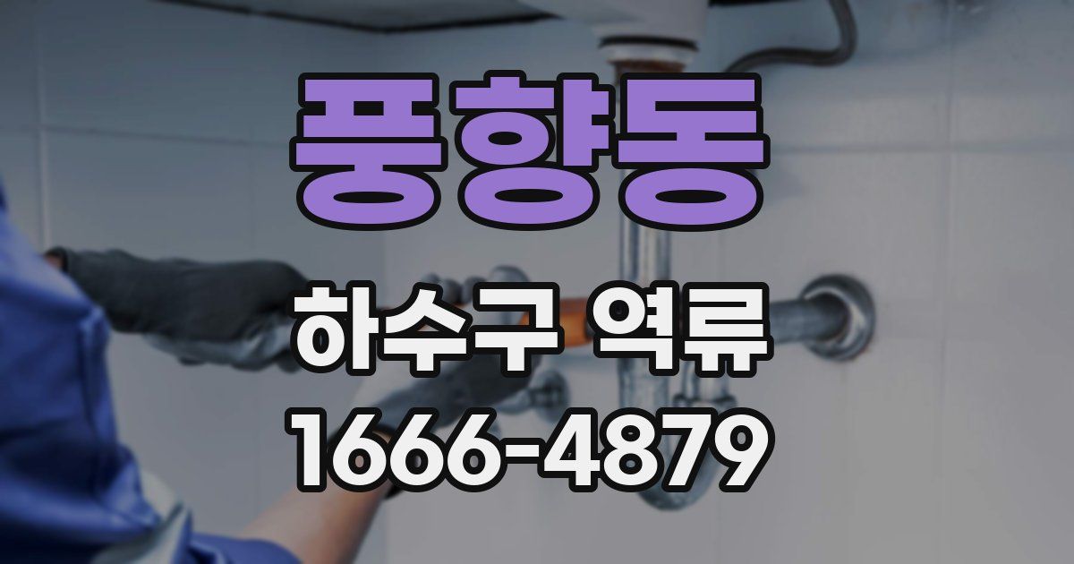 풍향동 하수구 역류