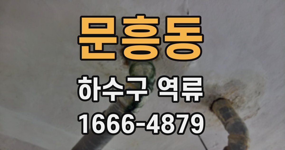 문흥동 하수구 역류