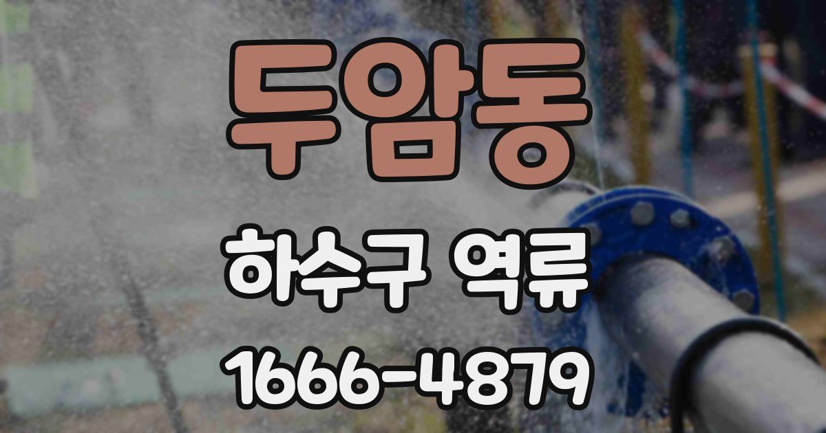 두암동 하수구 역류