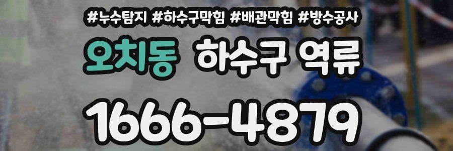 오치동 하수구 역류