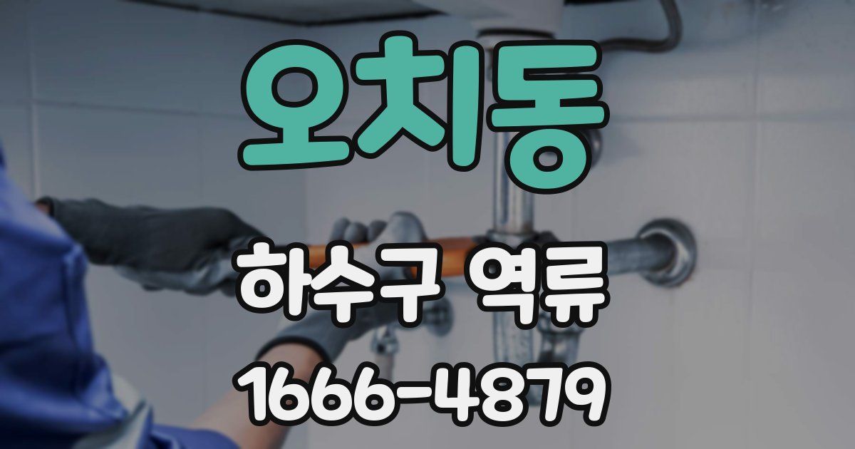오치동 하수구 역류