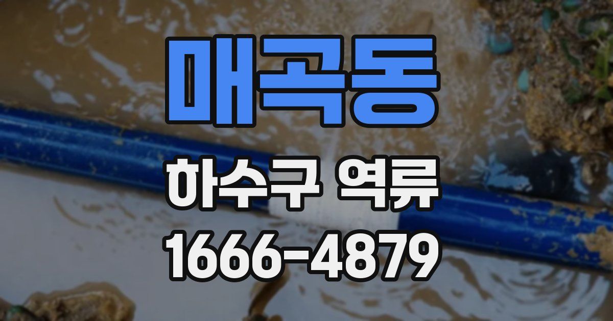 매곡동 하수구 역류