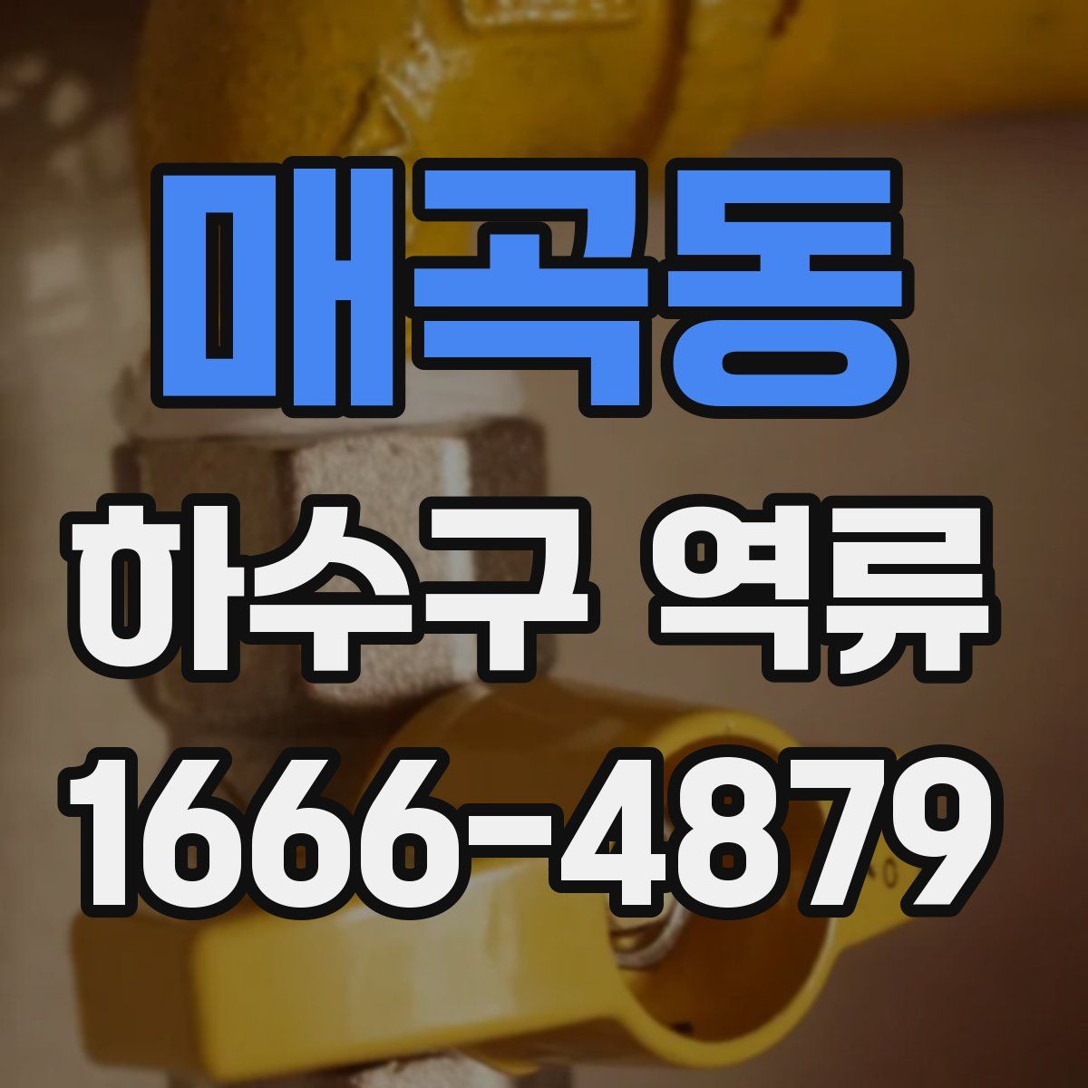 매곡동 하수구 역류