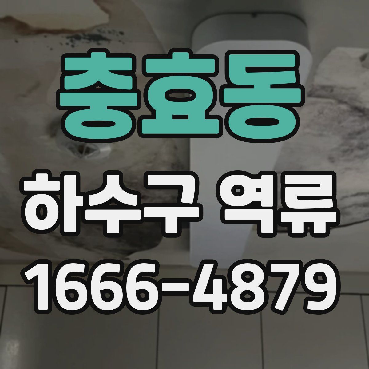 충효동 하수구 역류