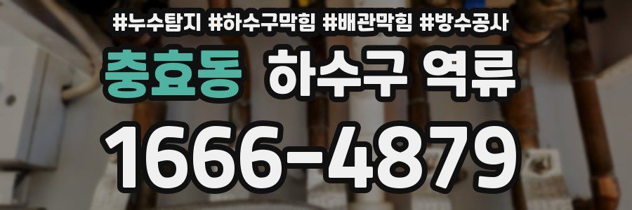 충효동 하수구 역류