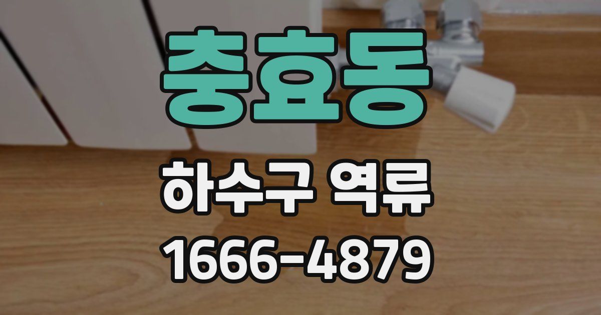 충효동 하수구 역류