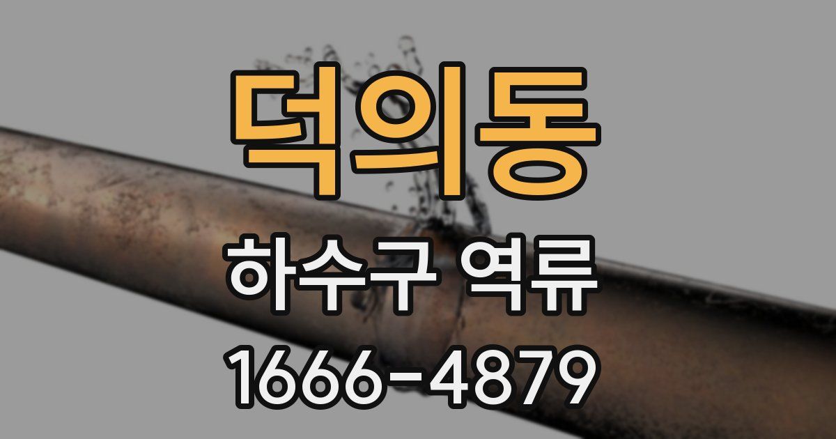 덕의동 하수구 역류