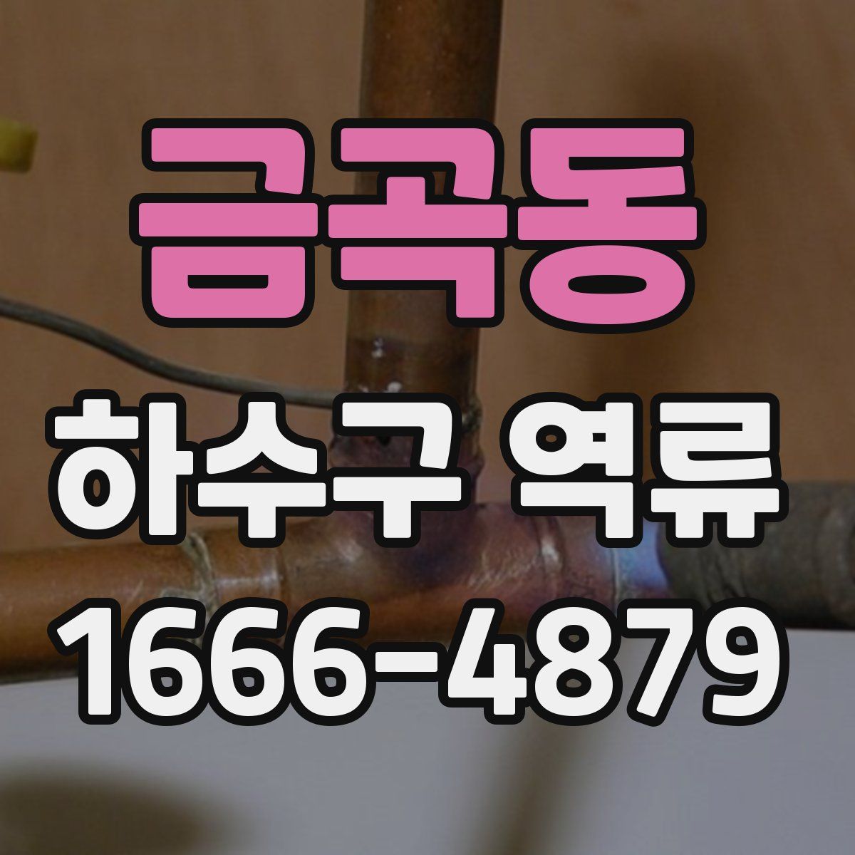 금곡동 하수구 역류