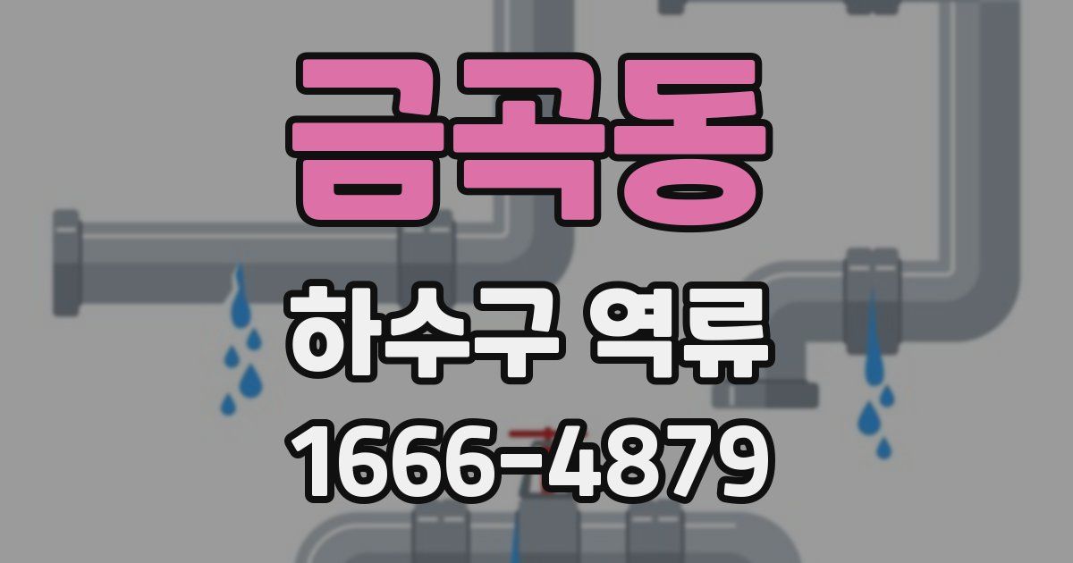 금곡동 하수구 역류