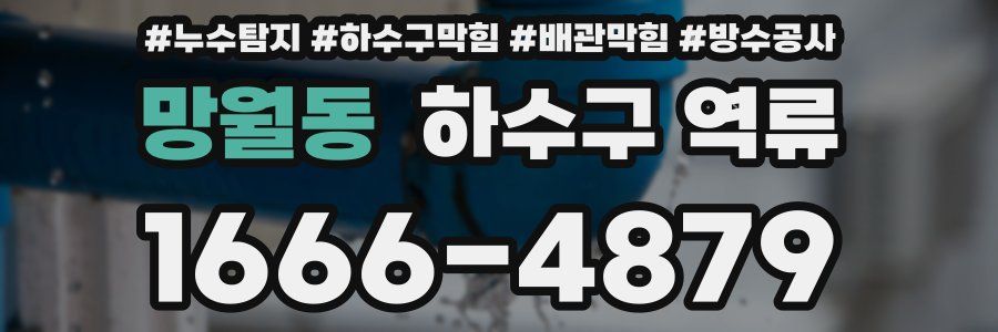 망월동 하수구 역류