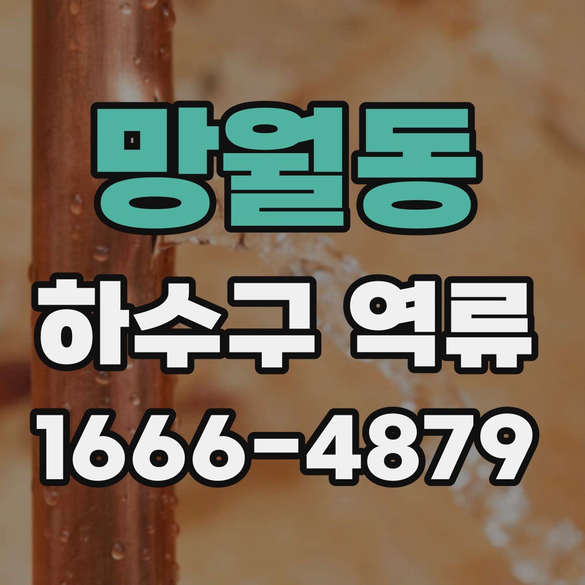 망월동 하수구 역류